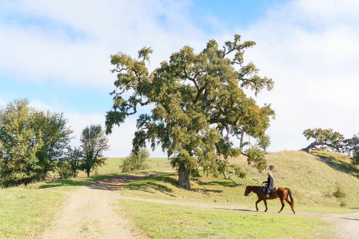 Alisal Ranch