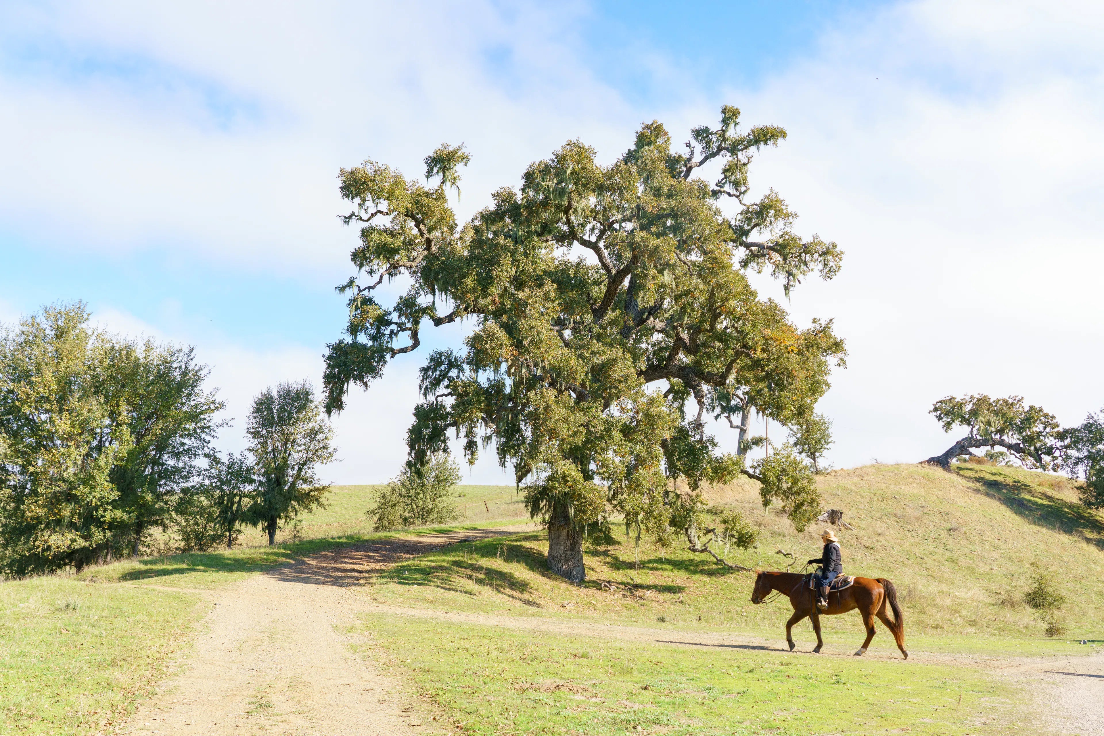 Alisal Ranch 