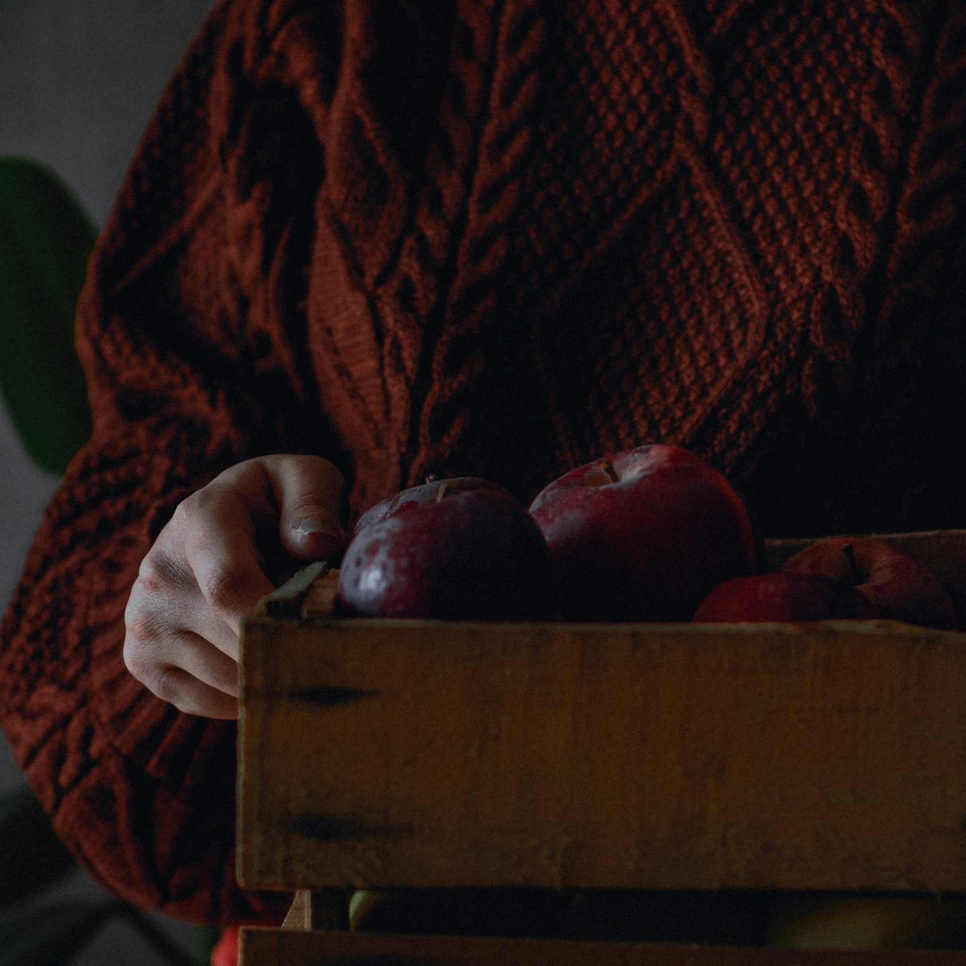 woman in jumper