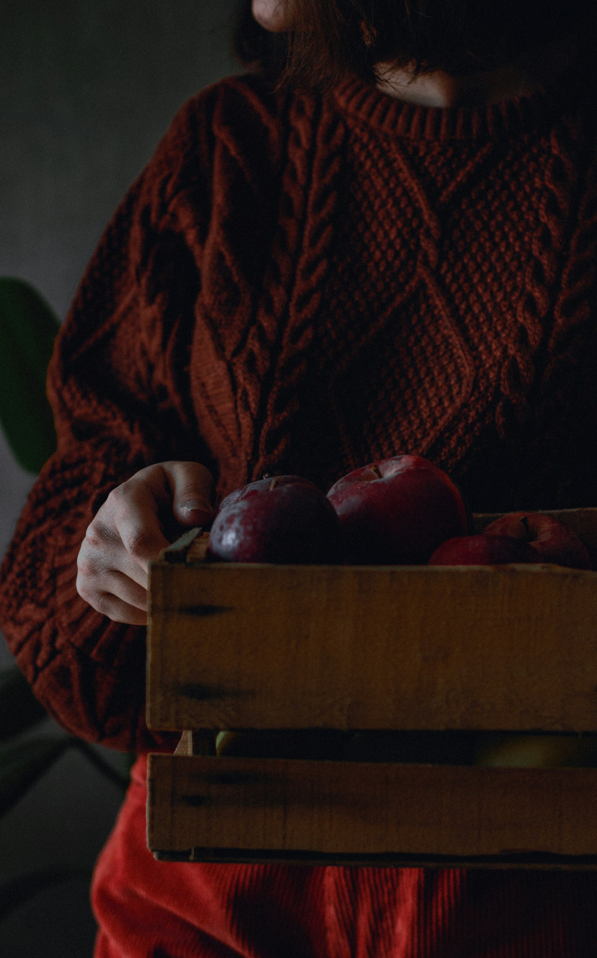 woman in jumper