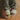 Donsje Amsterdam | Felinici Lining
