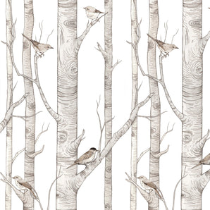 Dekornik | Birch Forest Wallpaper - Bubba & Me