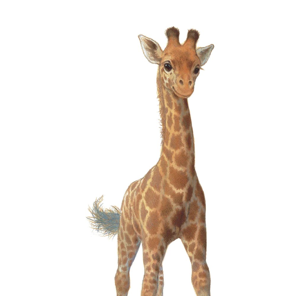 Little Blue Zebra | Giraffe Giclée Print A4 - Bubba & Me